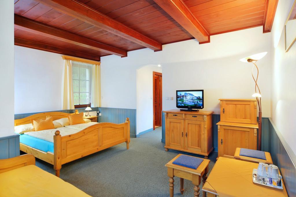 Pension Silva Spindleruv Mlyn Room photo